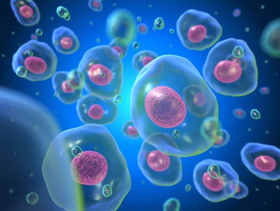 FIX&PERM? Cell Fixation/Permeabilization Reagent: Empowering Hematologic Malignancy Research FIX&PERM? Cell Fixation/Permeabilization Reagent: Empowering Hematologic Malignancy Research