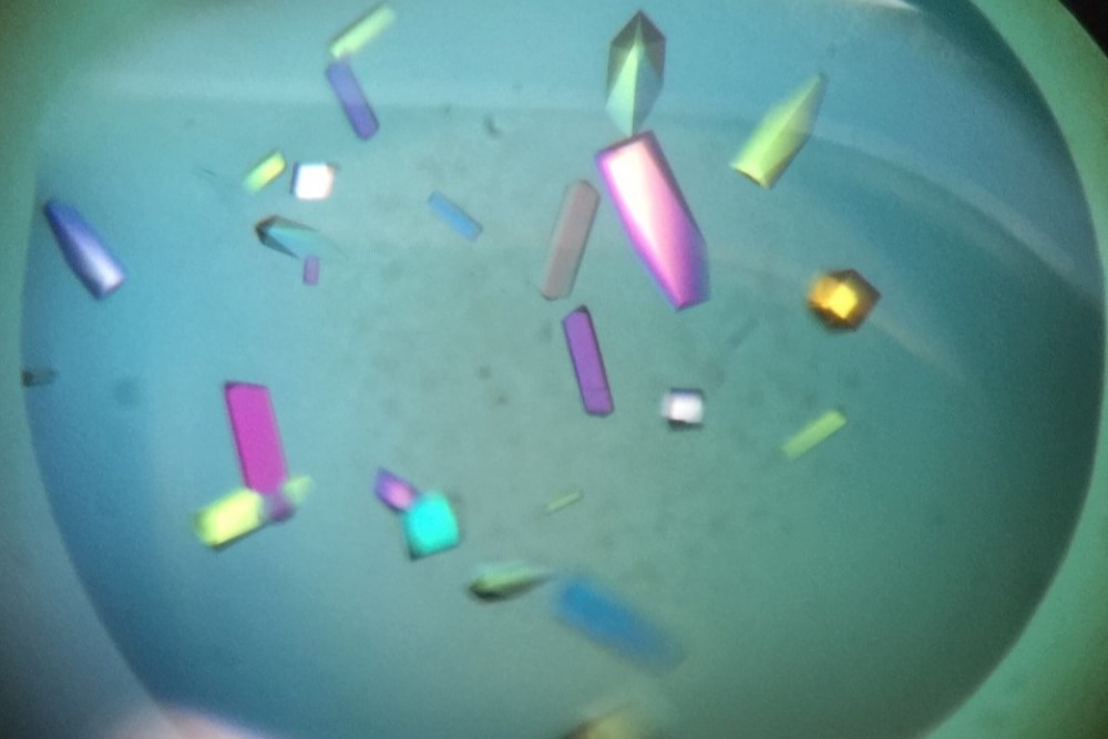 A Complete Beginner's Guide to Protein Crystallization Research: Easily Embark on a Journey of Life Science Exploration